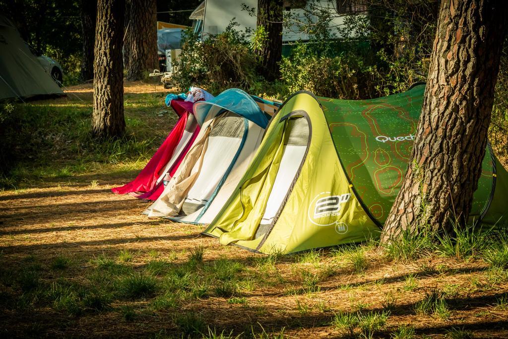 Camping La Sousta**** Remoulins Exterior photo