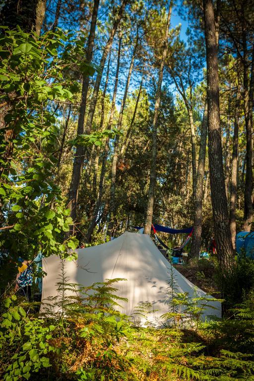 Camping La Sousta**** Remoulins Exterior photo
